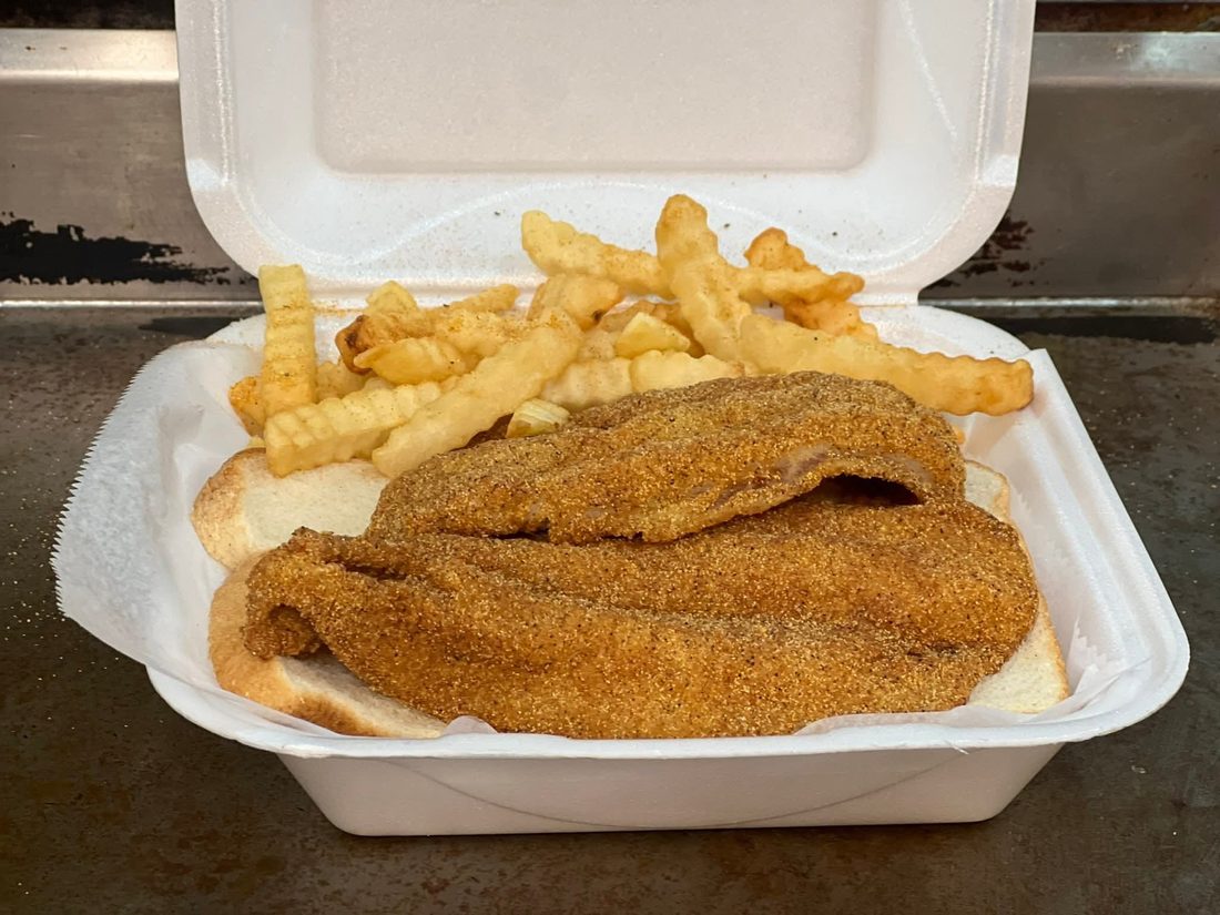Fried catfish dinner with fries